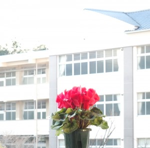 DSCF6096aw