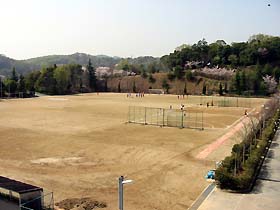 グラウンド全景